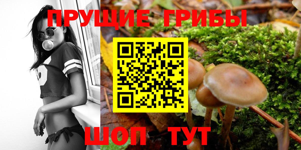 Галлюциногенные грибы ЛСД Острогожск